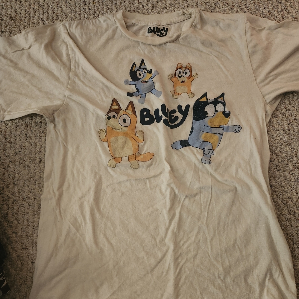 Tan Mens Medium Bluey Tshirt